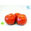 Tomates de serre Bio